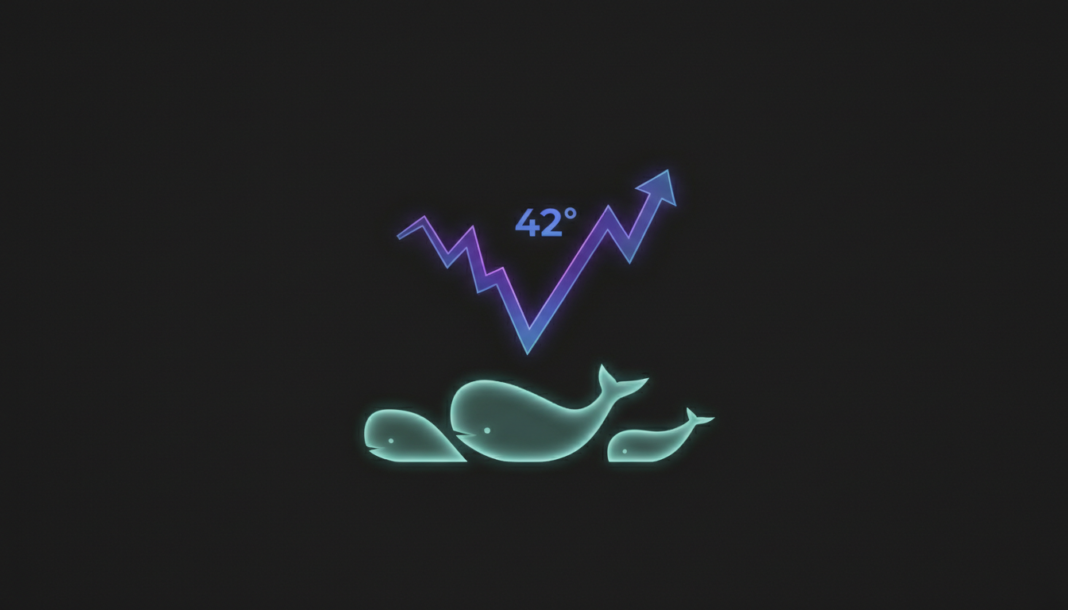 Zcash Finds Bullish Momentum Post 42% Drop as Whales Accumulate