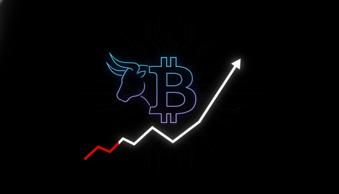 Draper & Mow Bullish: Bitcoin Price Dip Misrepresents Long-Term Value