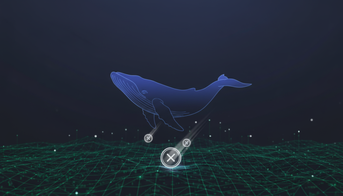 Whale Activity Fuels XRP Rally Over $1.50; Ledger Addresses Surge
