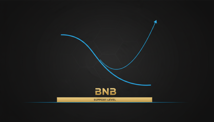 BNB Corrects to $529 Support; Analysts Eye $5,000 Long-Term