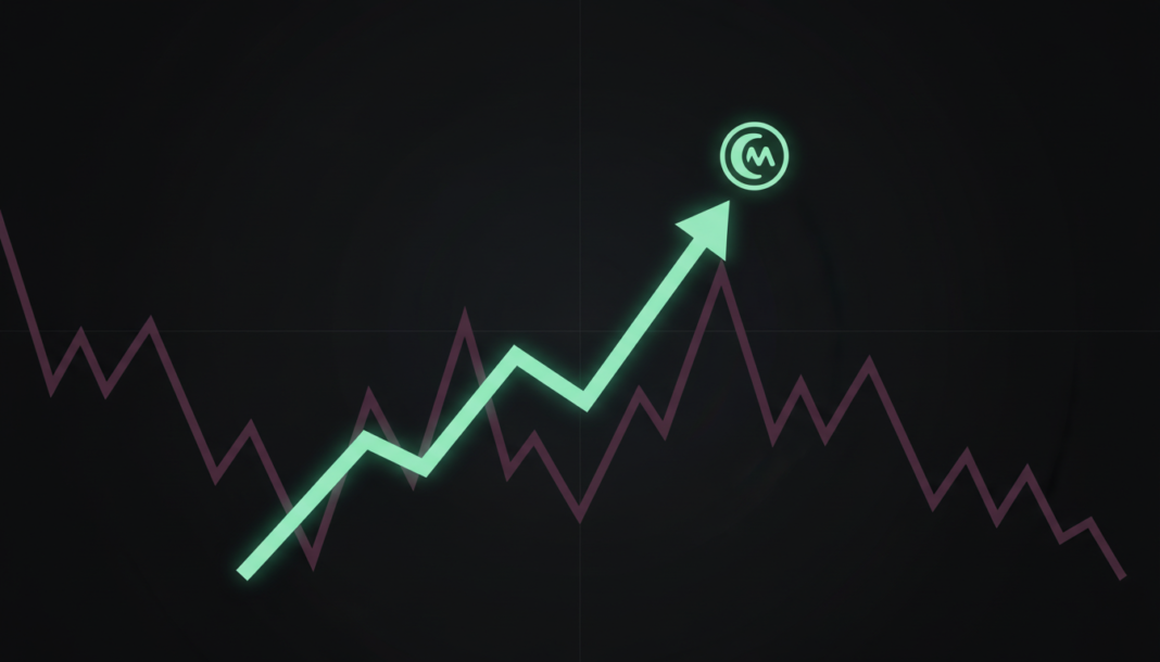 MOODENG Memecoin Surges 16% Amidst Sector-Wide Decline