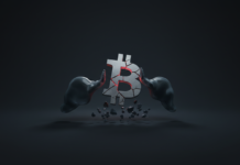 Bitcoin Under Pressure as Whales & Retail Fuel Sustained Bearish Sentiment Bitcoin Under Pressure as Whales & Retail Fuel Sustained Bearish Sentiment