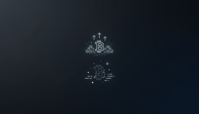 Small Bitcoin Holders Accumulate Amid Weakness, Mid-Tier Wallets Stay Cautious