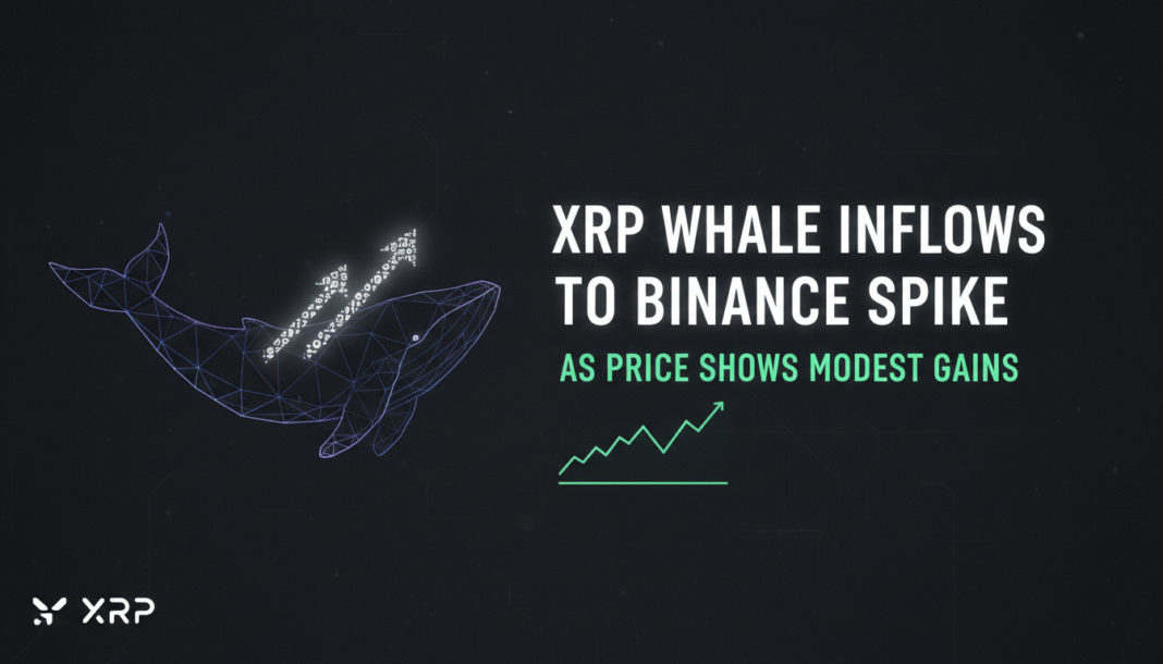 XRP Whale Inflows to Binance Spike as Price Shows Modest Gains