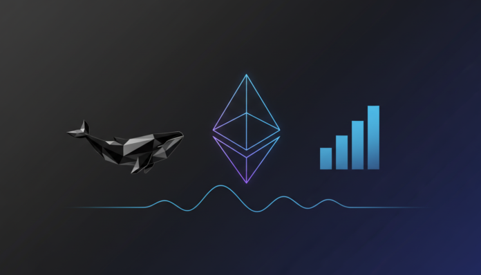 ETH Holds $2K as Whale Buys $14.5M, Signaling Volatile Breakout Ahead