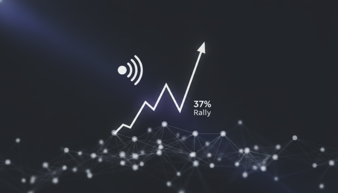 Aptos Rallies 37% Amid Decibel Upgrade and Surging Network Activity