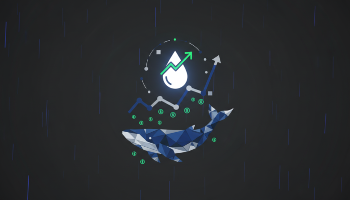 RAIN Token Defies Bear Market, Surges 18% on Kraken Listing, Whale Buys