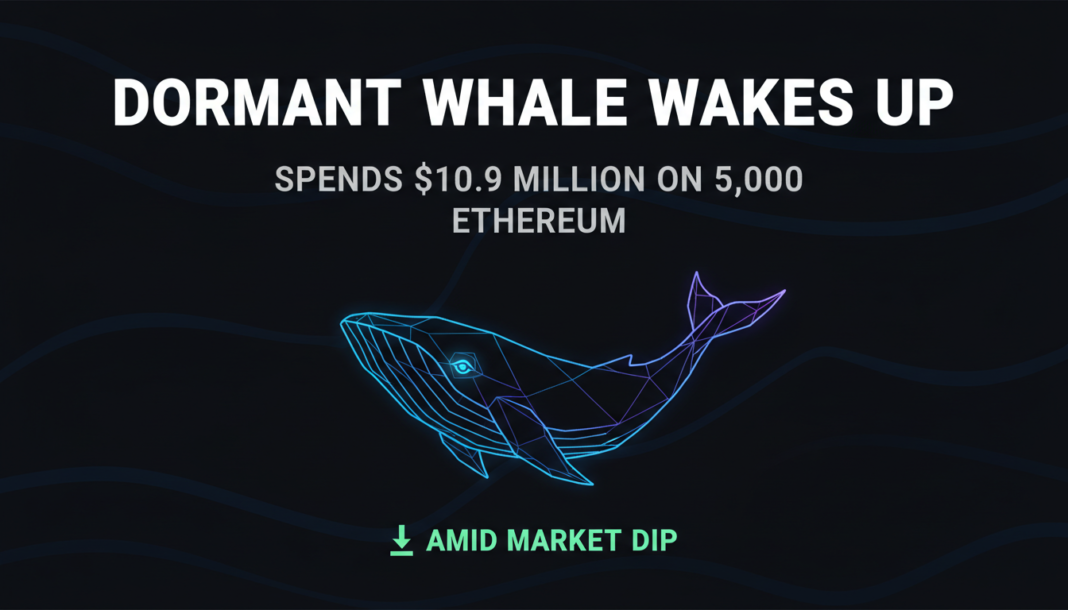 Dormant Whale Wakes Up, Spends $10.9 Million on 5,000 Ethereum Amid Market Dip