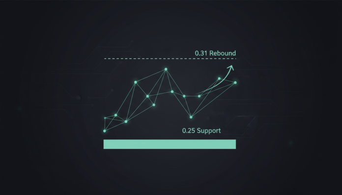 Cardano Holds $0.25 Support as Traders Eye Potential Rebound to $0.31
