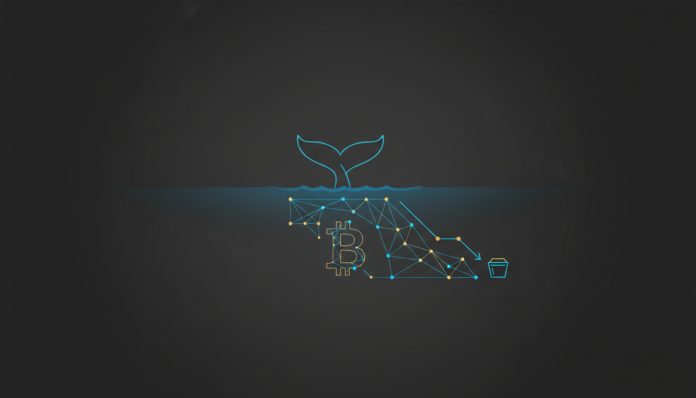 Whale Data Signals Bitcoin Accumulation Phase; Exchange Reserves Decline