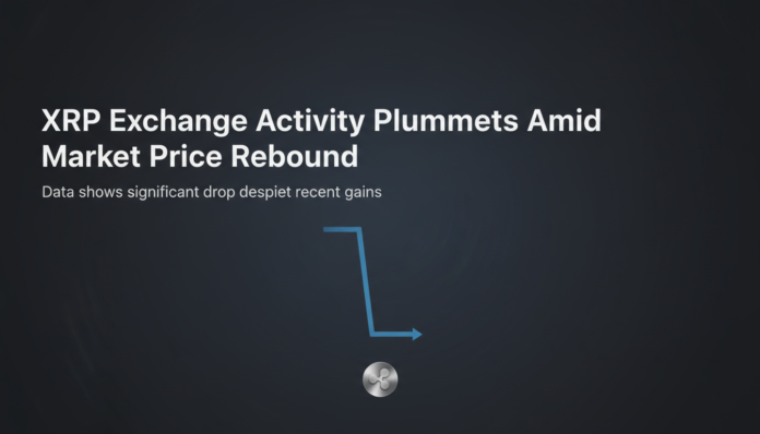 XRP Exchange Activity Plummets Amid Market Price Rebound