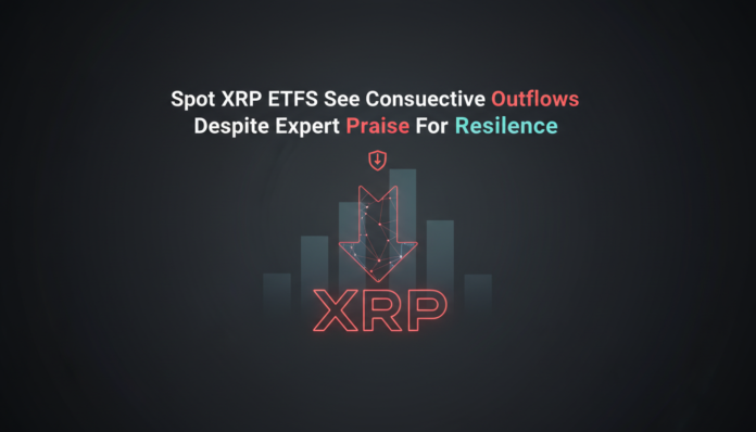 Spot XRP ETFs See Consecutive Outflows Despite Expert Praise For Resilience