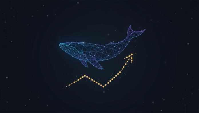 Whale Drops $17M on Solana as Crypto Market Recovers