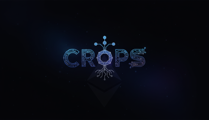 Ethereum Foundation Unveils 