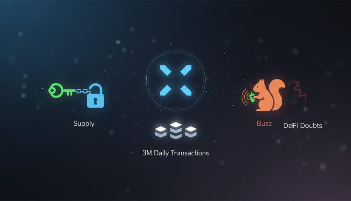 XRPL's 3M Daily Transactions Fuel Supply Squiree Buzz Amid DeFi Doubts