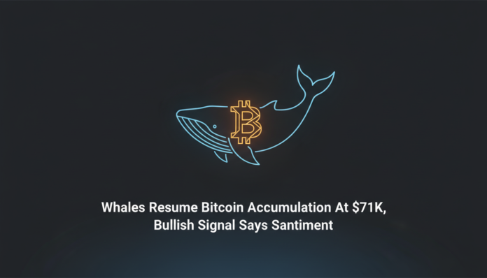 Whales Resume Bitcoin Accumulation At $71K, Bullish Signal Says Santiment