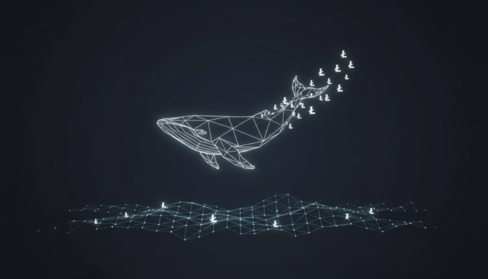$68M Litecoin Whale Exit Sparks Accumulation Speculation Amid Base-Building
