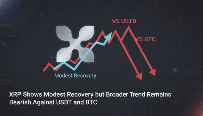 XRP Shows Modest Recovery but Broader Trend Remains Bearish Against USDT and BTC