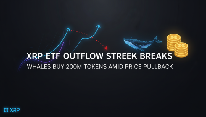 XRP ETF Outflow Streak Breaks as Whales Buy 200M Tokens Amid Price Pullback