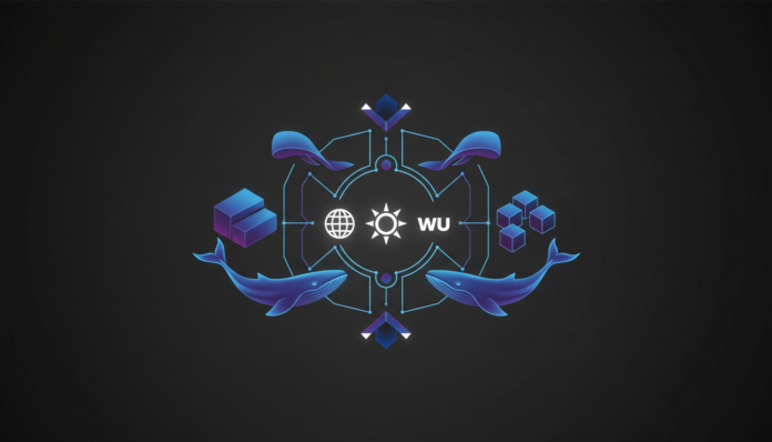 Solana Enterprise Platform Launches with Mastercard, Western Union, Spurs Whale Buying