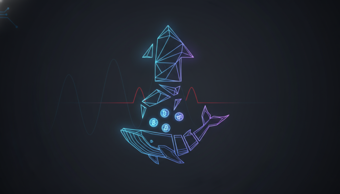 Ethereum Price Climbs Amid Whales' $308M Accumulation Despite Low Volume