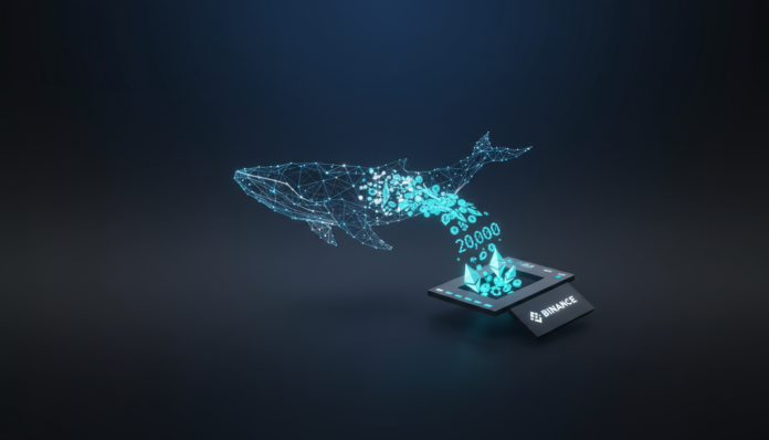 Whale Withdraws 20,000 ETH from Binance Amid Market Consolidation