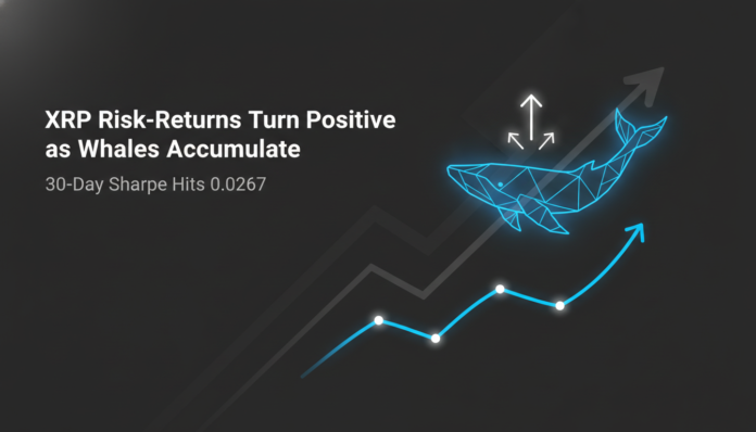 XRP Risk-Returns Turn Positive as Whales Accumulate, 30-Day Sharpe Hits 0.0267