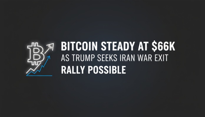 Bitcoin Steady at $66K as Trump Seeks Iran War Exit, Rally Possible