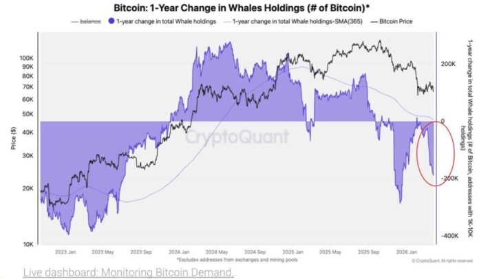Bitcoin Whales Shift to 