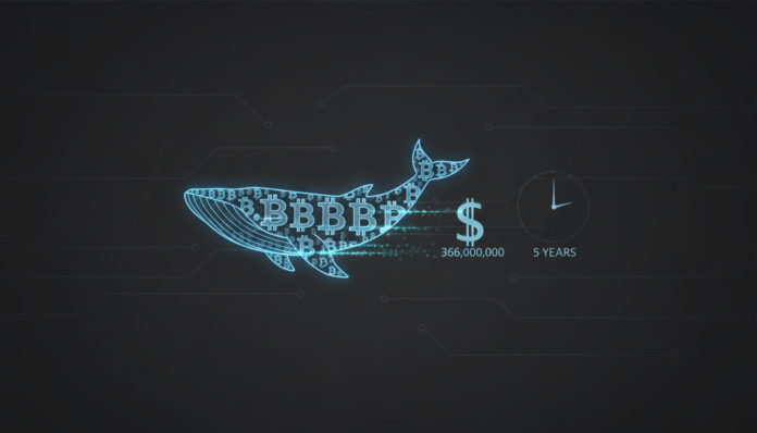 Dormant Bitcoin Whale Moves $366 Million After Five Silent Years