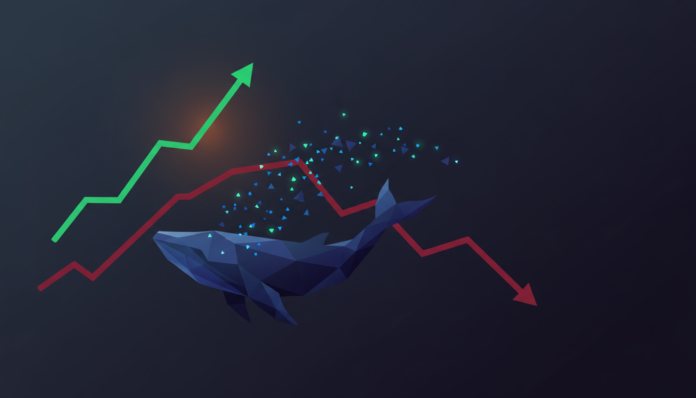 Bitcoin at $68K as whales bet against retail optimism amid widening divide