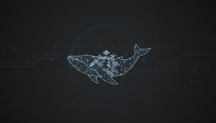 Chainlink Whales Grow 25% Despite Bearish Price, Supply Tightens Further