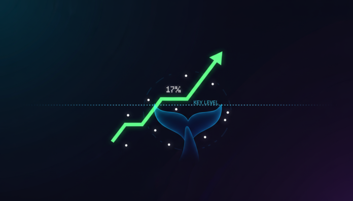 Algorand Up 17% in 24h, Tests Key Level as Bulls Eye $0.15 Amid Whale Buying