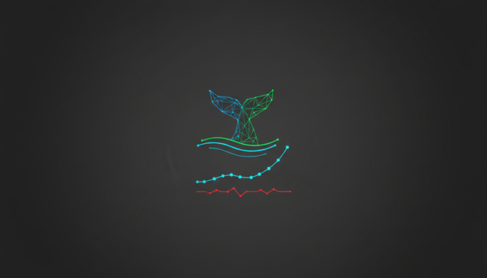 Bitcoin Whales Accumulate as RVTS Hits Record, Signaling Low Network Activity