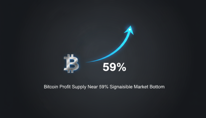 Bitcoin Profit Supply Near 59%, Signals Possible Market Bottom