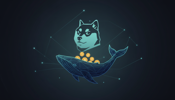 Dogecoin Whale Buys Near 330M DOGE as Price Consolidates