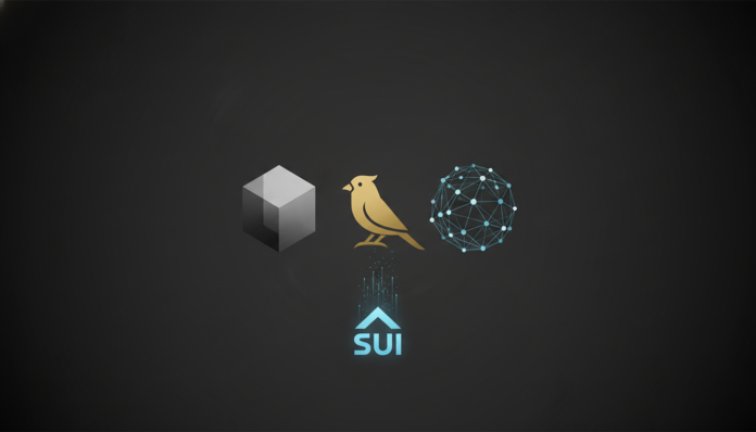 Grayscale, Canary, 21Shares Hold 81.2M SUI Tokens, Signal Growing Institutional Demand