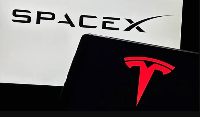 SpaceX Stock Plummets 16% After IPO, Echoing Tesla's Post-IPO Crash Pattern