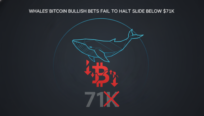 Whales' Bitcoin Bullish Bets Fail to Halt Slide Below $71K
