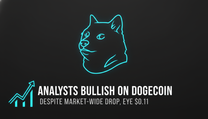 Analysts Bullish on Dogecoin Despite Market-Wide Drop, Eye $0.11
