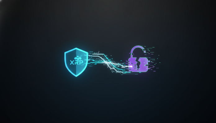XRP Ledger Proposes New Privacy Standard Amid Zcash Crisis