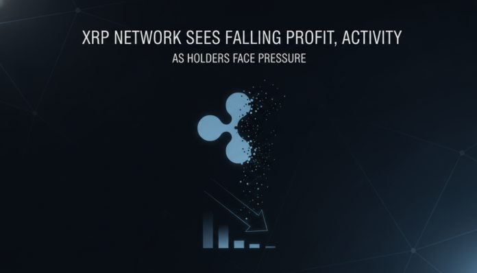 XRP Network Sees Falling Profit, Activity as Holders Face Pressure
