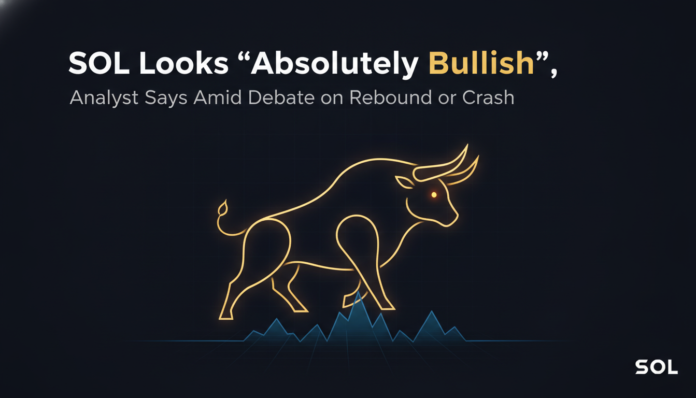SOL Looks 'Absolutely Bullish,' Analyst Says Amid Debate on Rebound or Crash