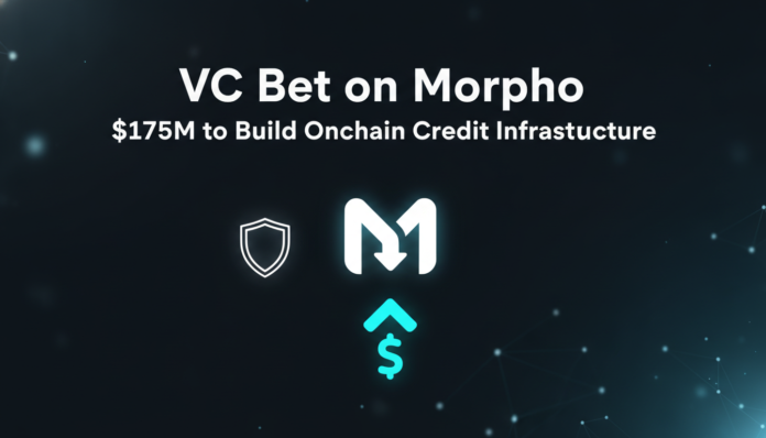 VC Bet on Morpho: $175M to Build Onchain Credit Infrastructure